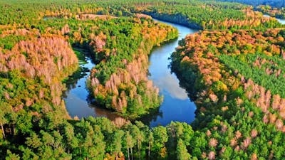 Aerial view of wildlife. River and forest in autumn..