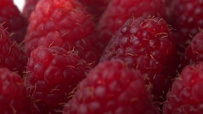 Raspberries Spinning Close Up As Restaurant Background Juicy Raspberries for Advertising Fresh.