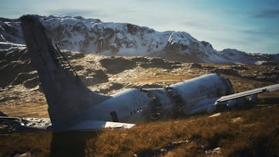 Plane Crashed on a Mountain.