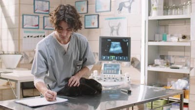 Vet Examining Cat and Taking Notes in Clinic.