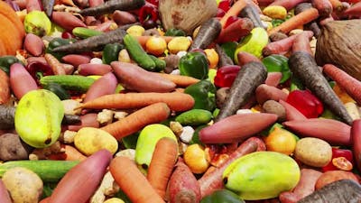 Vegetable Industry Market 01 HD.