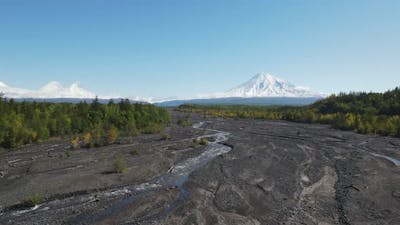 Forest and volcanoes covered with snow. .