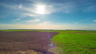 Spring Field and the Sun.