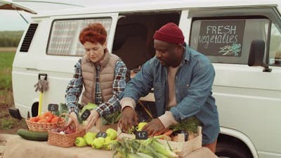 Multiethnic Farmers Preparing Vegetables for Sale.