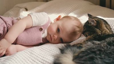 Baby Girl with a Tabby Cat Lies on a White Bed.