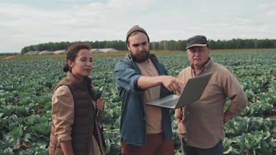 People Working On Farm.