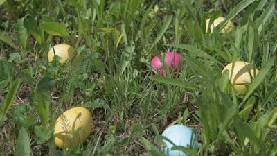 Easter. Colorful easter on the grass..