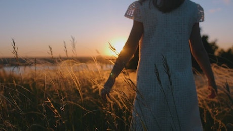 A little girl in a dress walking and caressing the grass at sunset.
