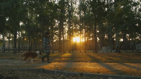 A woman walks through a park with a dog.