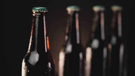 Cold beer bottles in a row on a dark background.