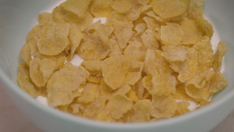 Corn flake cereal in a bowl with milk.