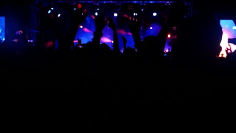 Crowd dancing in a music festival by night.