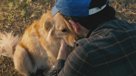 Dog being petted.