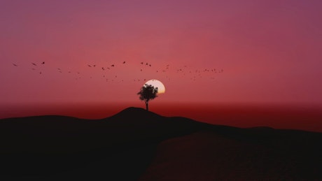 Flock flying around a tree during sunset.