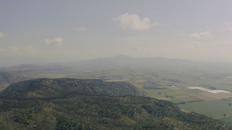Forest in the mountains, aerial view.