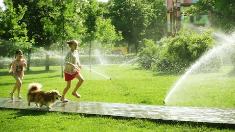 Girls playing with dog in the park.