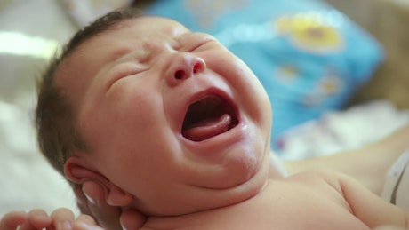 New born baby screaming in its mother's arms.