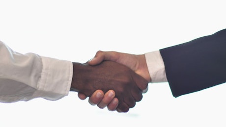 Pair of hands shaking hands on white background.