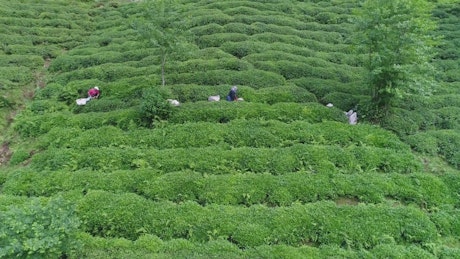 People working on a terrace.