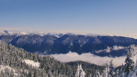 Pine covered snowy mountain range.