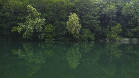 Sailing down a river surrounded by trees.