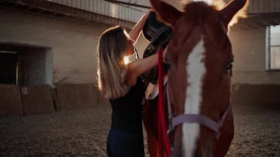 Jockey Puts Saddle on Brown Horse Back on Sports Arena.