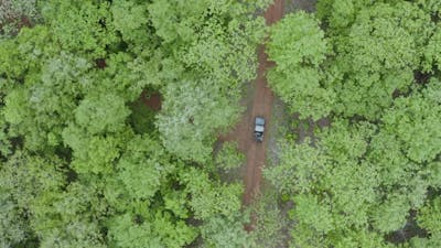 Tiger Safari in national park of India.