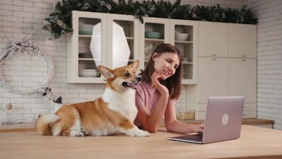 Pretty Woman Pets Corgi Dog Working on Laptop in Kitchen.