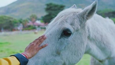 Farm, field and woman pet horse for bonding, animal care and love for countryside pets on ranch.