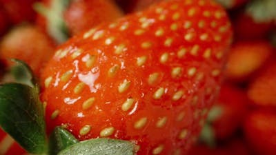 strawberry extreme macro, zoom. Slow falling and moving away. Isolated black background. Rotation..