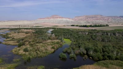 Nallihan Bird Sanctuary.