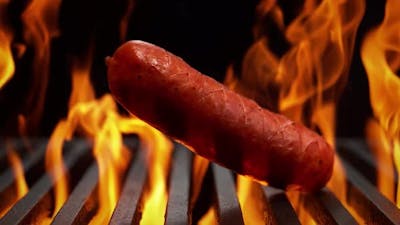 Hot Dog in Fire 4K.