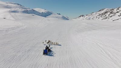 Sleigh Pulled By Sled Dogs Through Snow.